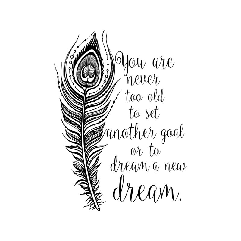 Decal House You Are Never Too Old to Set Quote Wall Decals & Reviews